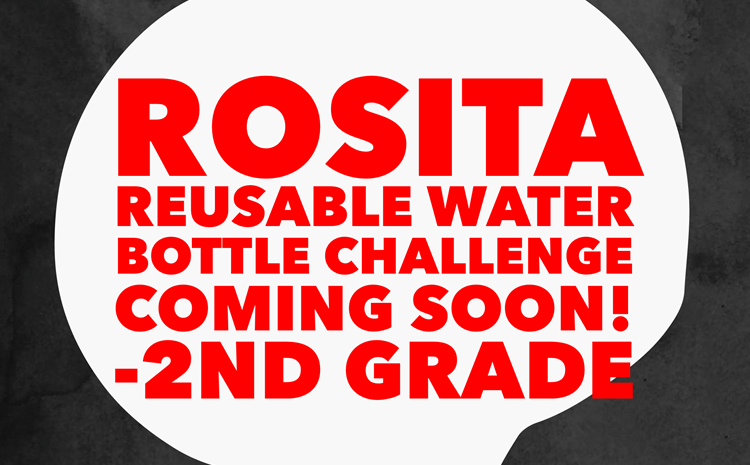 Rosita Zero Waste Challenge - article thumnail image